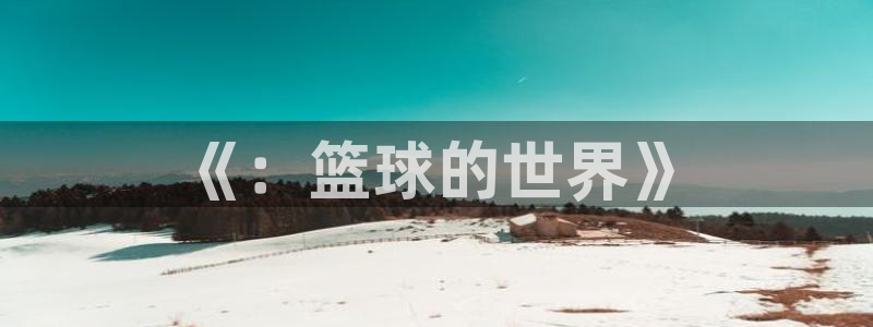 《：篮球的世界》