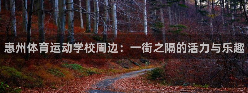惠州体育运动学校周边：一街之隔的活力与乐趣