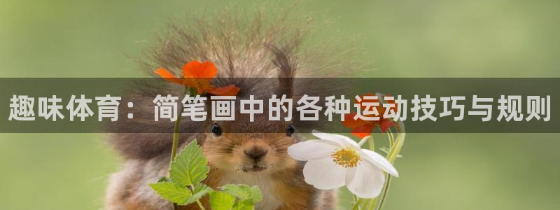 趣味体育：简笔画中的各种运动技巧与规则