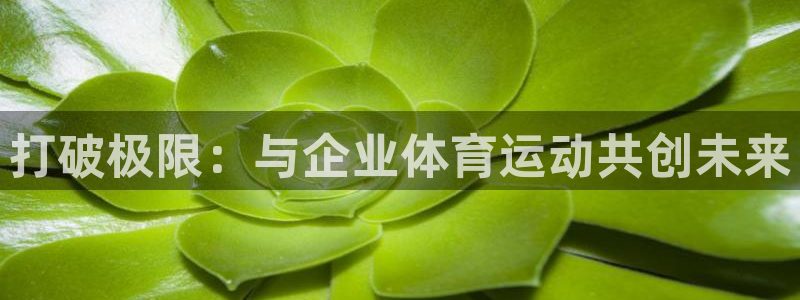 打破极限：与企业体育运动共创未来